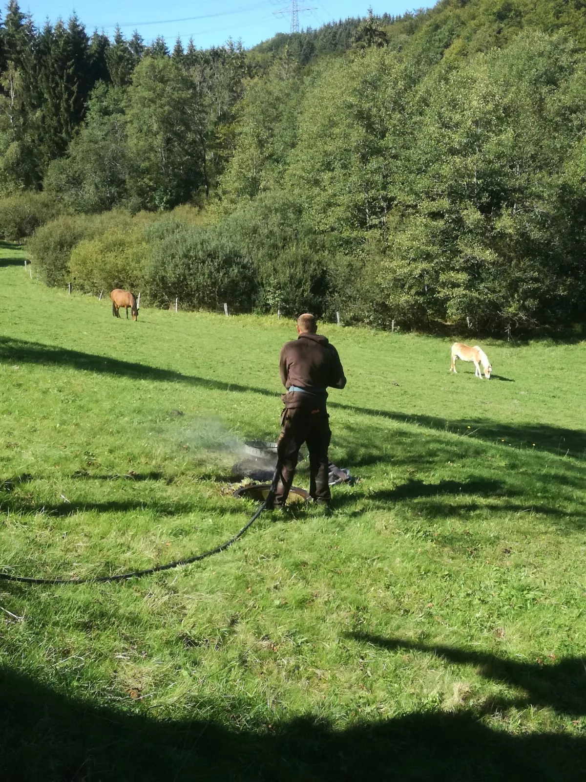 Arbeit im Feien