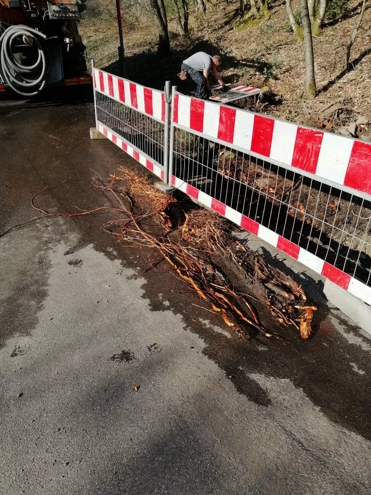 Berger GmbH, Rohr- und Kanalreinigung in Wehr - LKWs im Einsatz für Reinigungsarbeiten - Wurzeleinwüchse